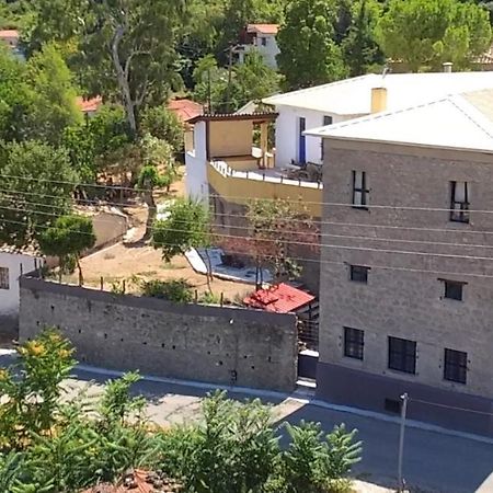 The Old Olive Mill House Villa Aegae ภายนอก รูปภาพ