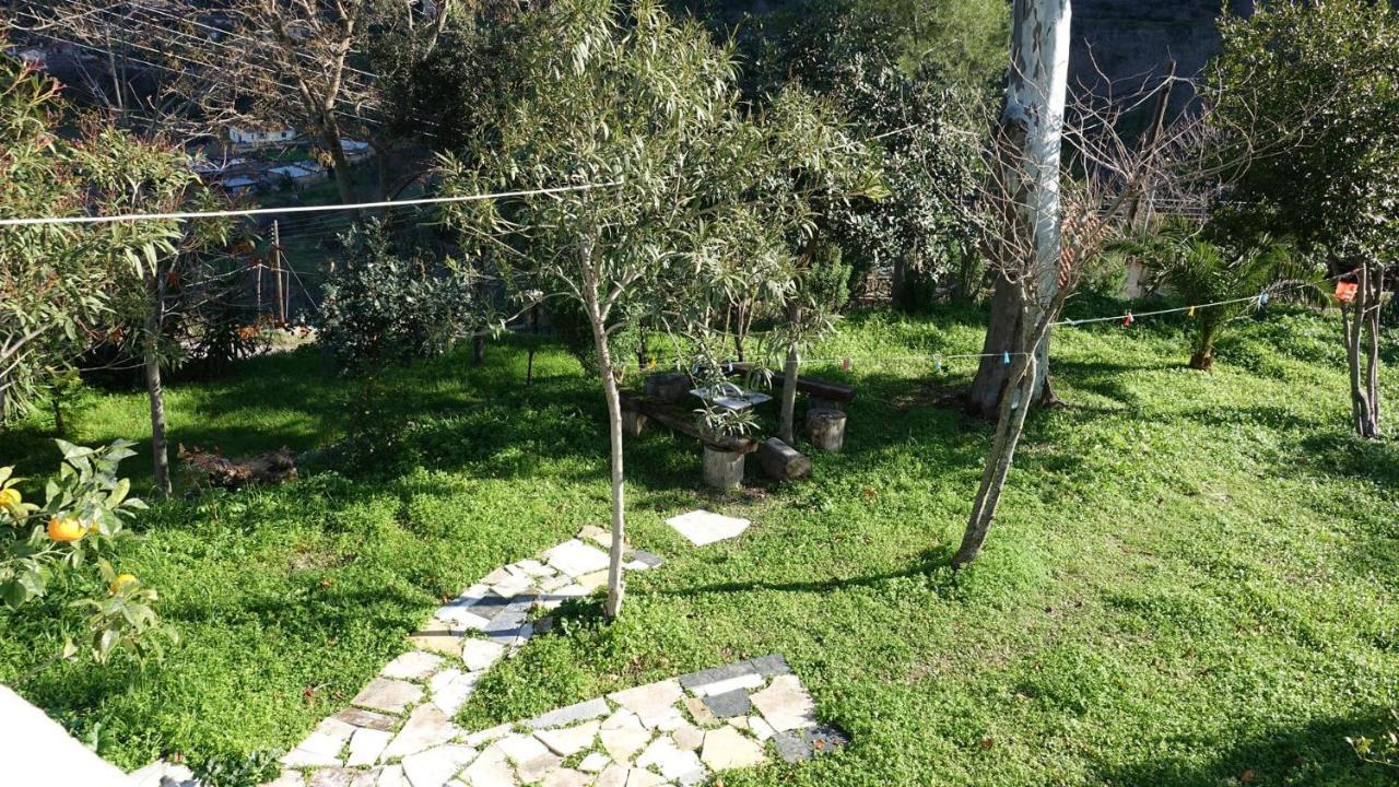 The Old Olive Mill House Villa Aegae ภายนอก รูปภาพ
