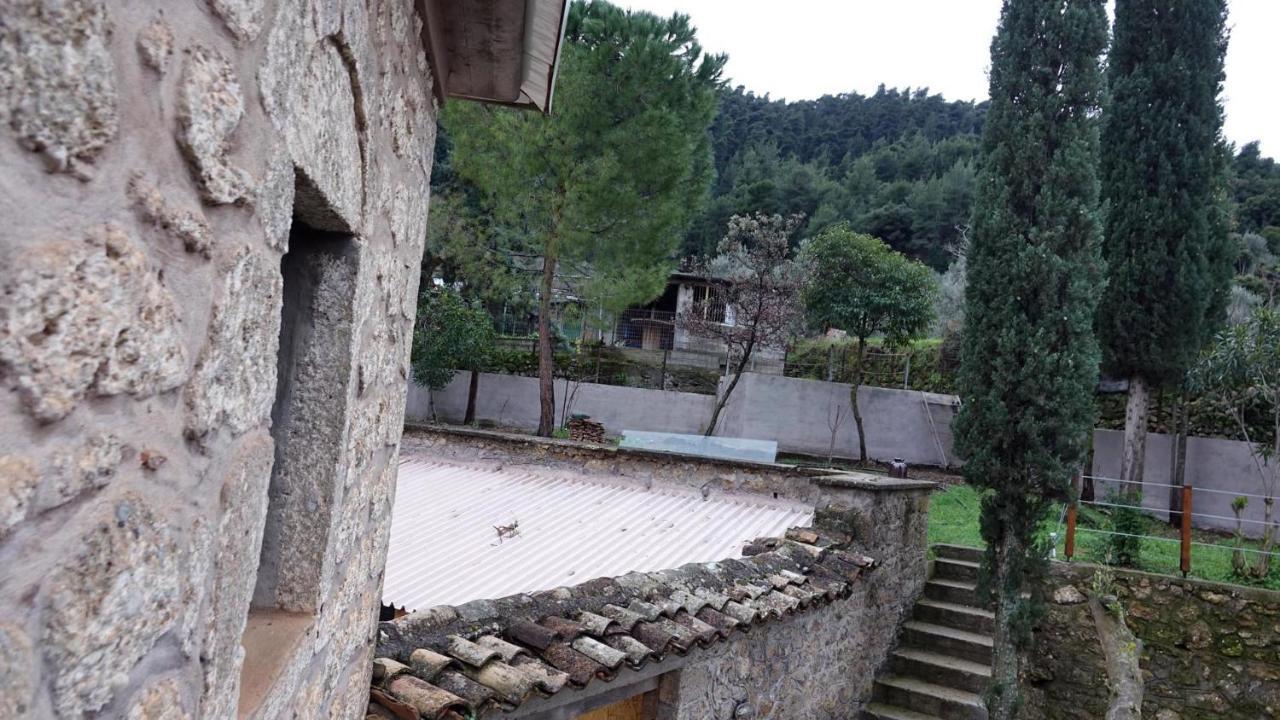 The Old Olive Mill House Villa Aegae ภายนอก รูปภาพ