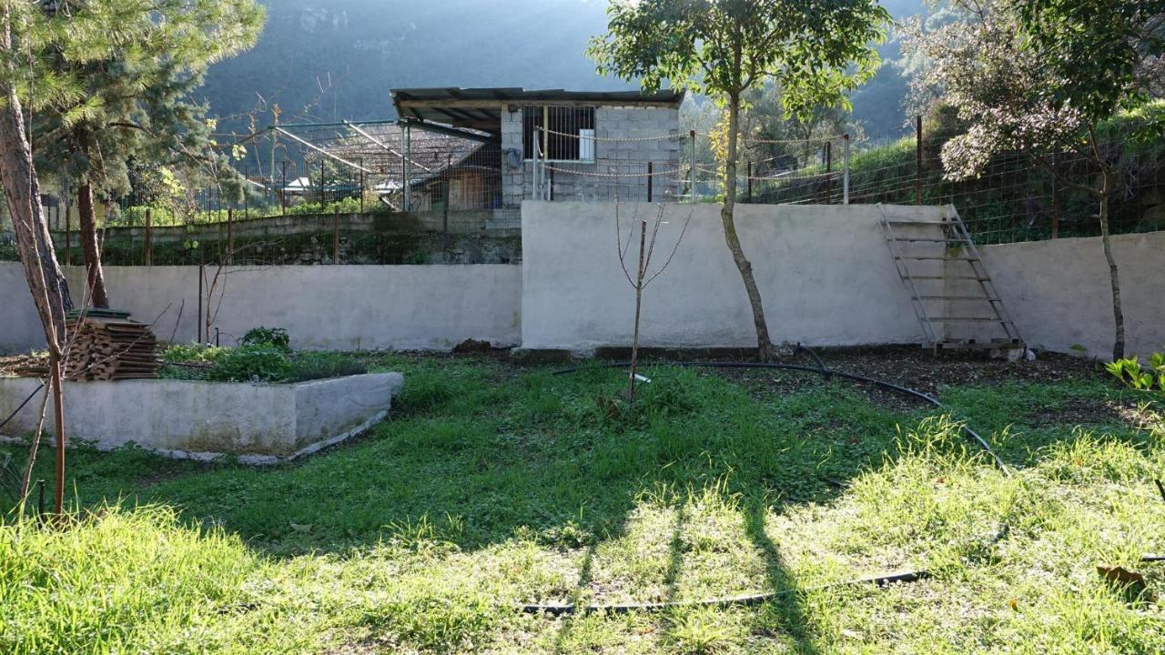The Old Olive Mill House Villa Aegae ภายนอก รูปภาพ