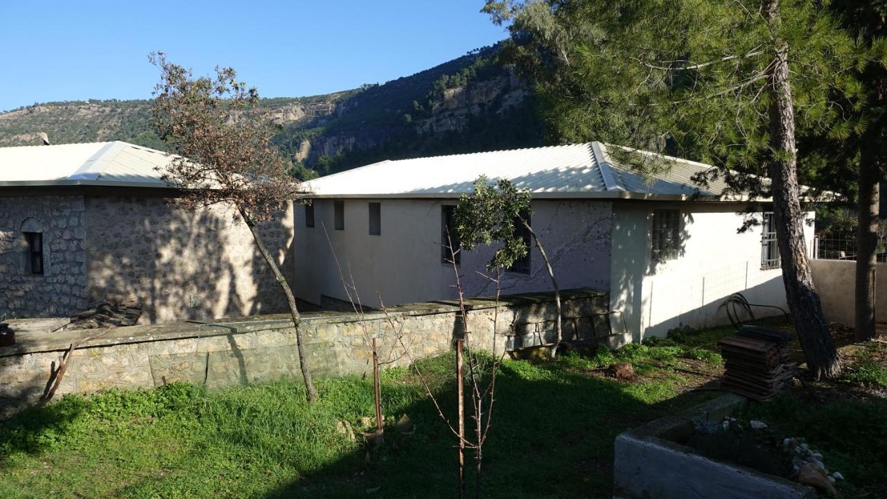 The Old Olive Mill House Villa Aegae ภายนอก รูปภาพ