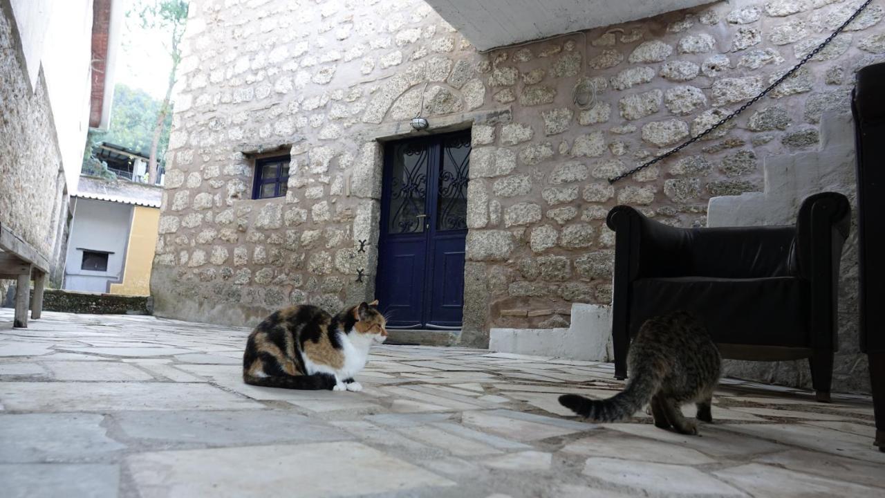 The Old Olive Mill House Villa Aegae ภายนอก รูปภาพ